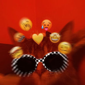 Meet your Posher, Jay